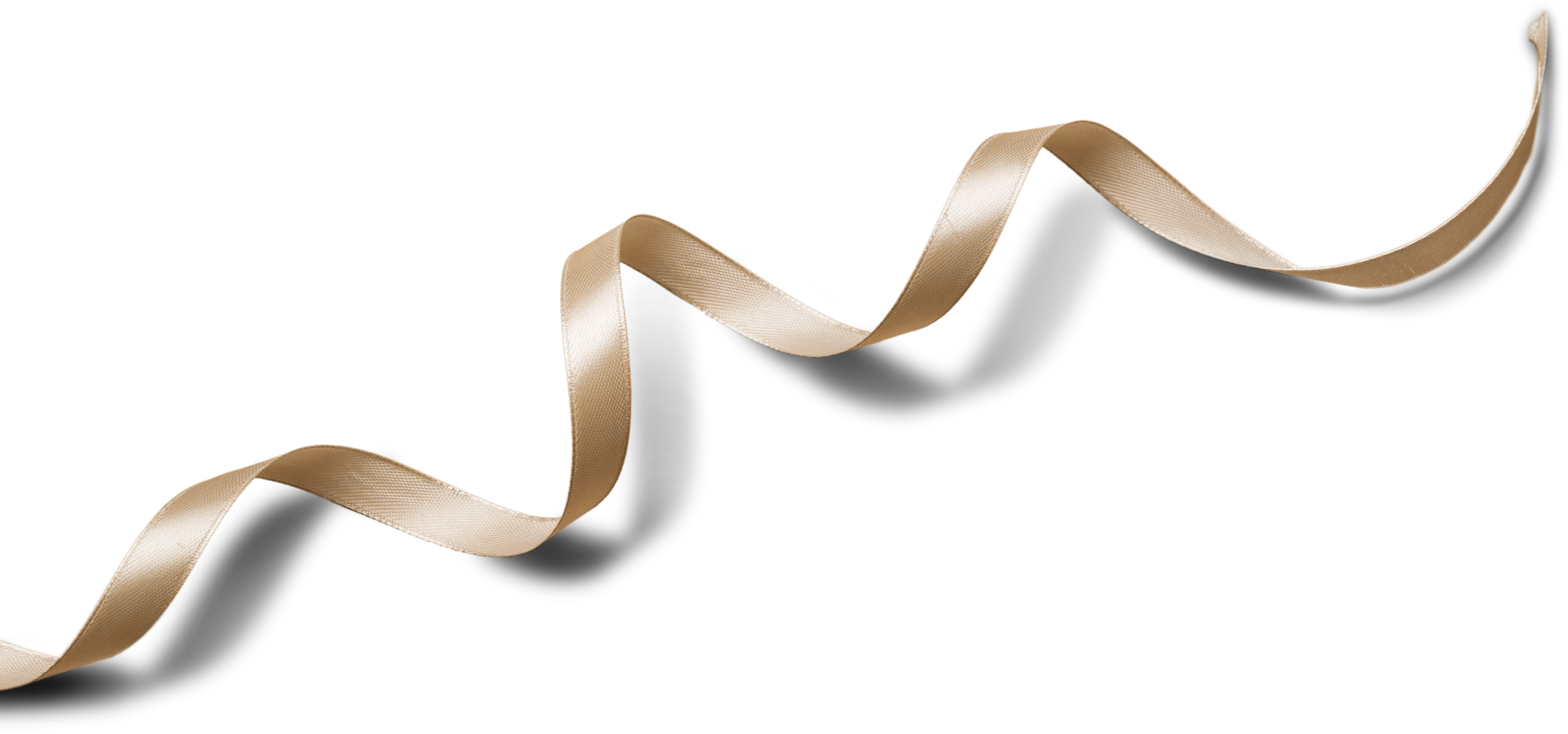 Gold Curly Ribbon.